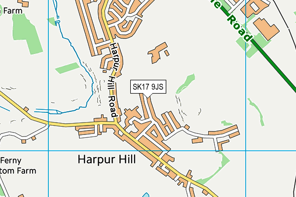 SK17 9JS map - OS VectorMap District (Ordnance Survey)
