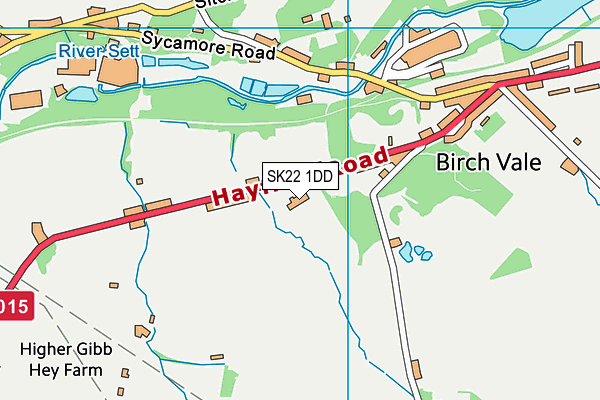 SK22 1DD map - OS VectorMap District (Ordnance Survey)