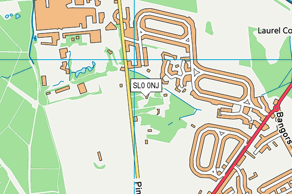 SL0 0NJ map - OS VectorMap District (Ordnance Survey)