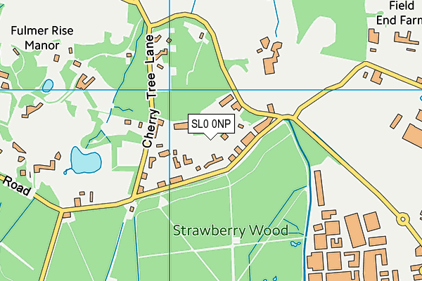 SL0 0NP map - OS VectorMap District (Ordnance Survey)