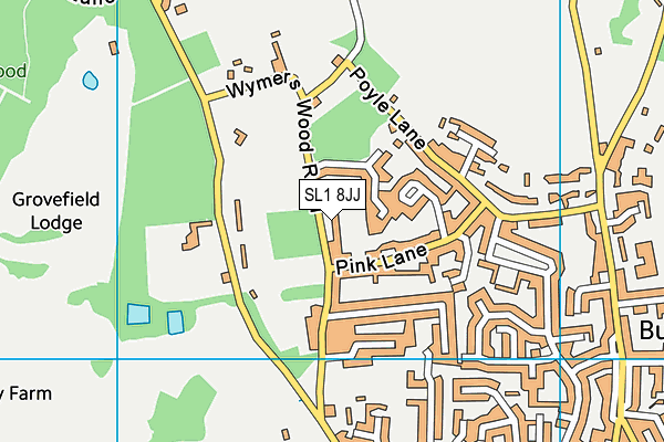 SL1 8JJ map - OS VectorMap District (Ordnance Survey)