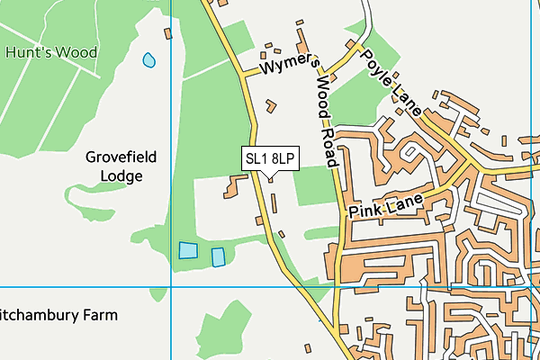 Burnham Memorial Ground map (SL1 8LP) - OS VectorMap District (Ordnance Survey)