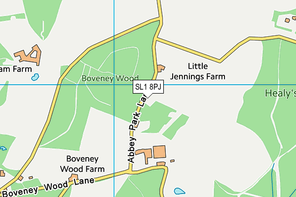 SL1 8PJ map - OS VectorMap District (Ordnance Survey)