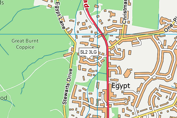 SL2 3LG map - OS VectorMap District (Ordnance Survey)