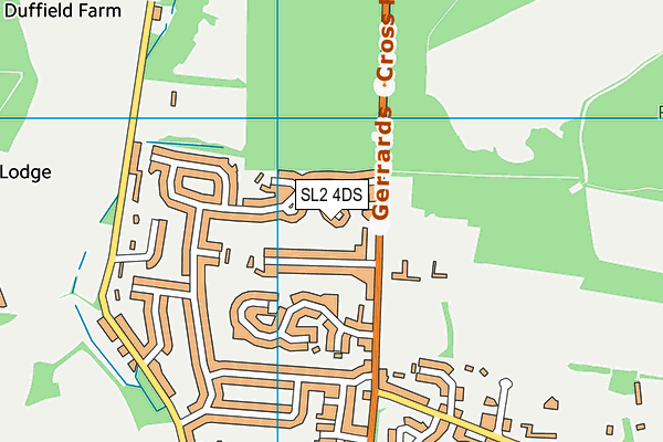 SL2 4DS map - OS VectorMap District (Ordnance Survey)