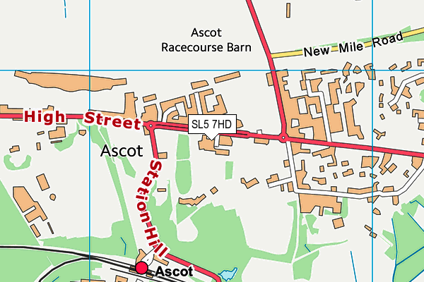 The Fitness Space (Ascot) map (SL5 7HD) - OS VectorMap District (Ordnance Survey)
