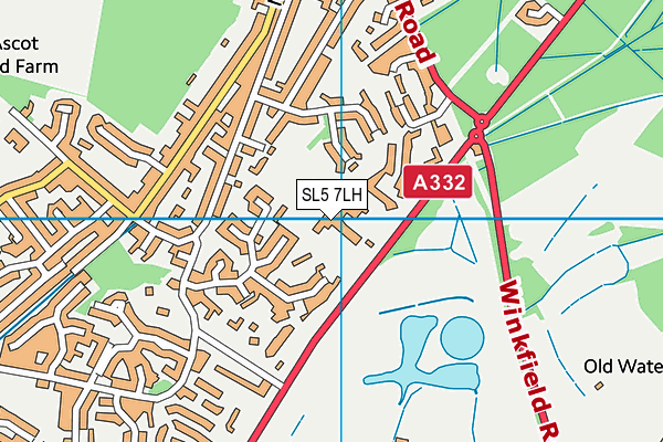 Papplewick School map (SL5 7LH) - OS VectorMap District (Ordnance Survey)