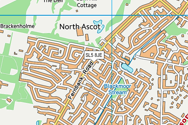 SL5 8JE map - OS VectorMap District (Ordnance Survey)