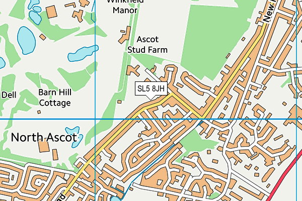 SL5 8JH map - OS VectorMap District (Ordnance Survey)