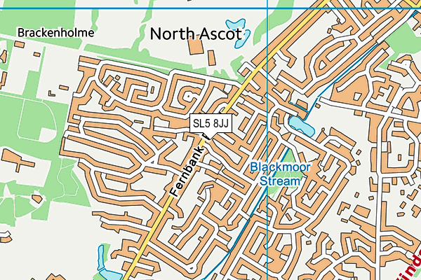 SL5 8JJ map - OS VectorMap District (Ordnance Survey)