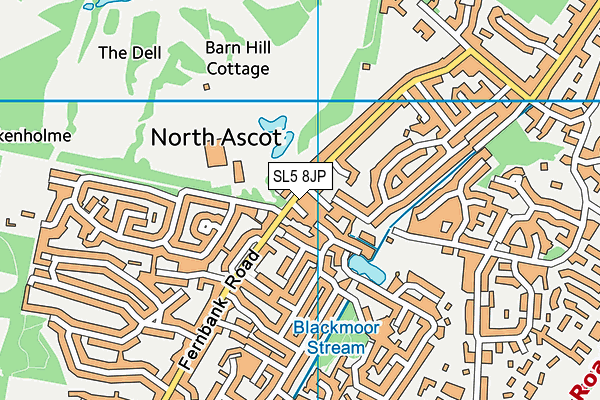 SL5 8JP map - OS VectorMap District (Ordnance Survey)