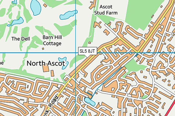 SL5 8JT map - OS VectorMap District (Ordnance Survey)