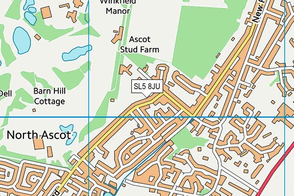 SL5 8JU map - OS VectorMap District (Ordnance Survey)