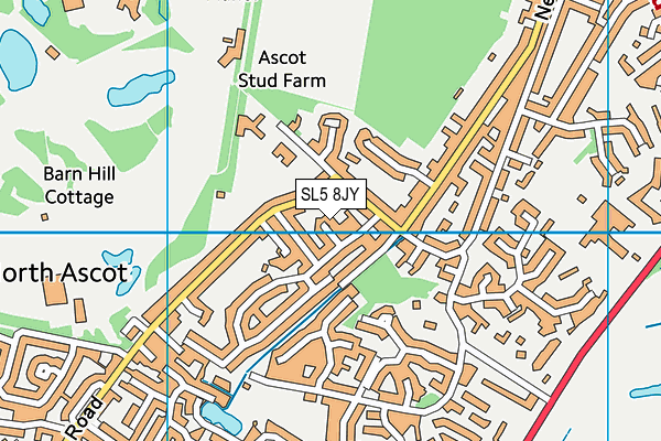 SL5 8JY map - OS VectorMap District (Ordnance Survey)