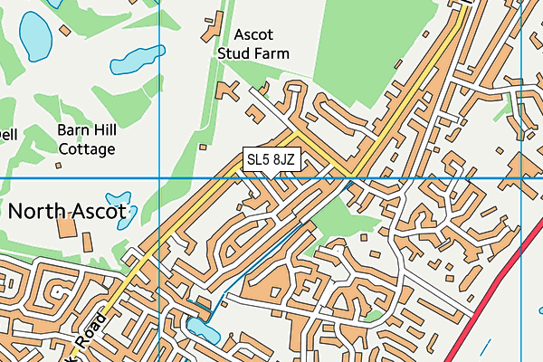 SL5 8JZ map - OS VectorMap District (Ordnance Survey)