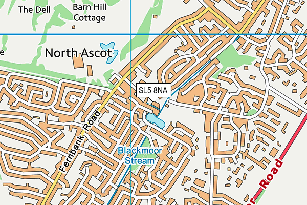 SL5 8NA map - OS VectorMap District (Ordnance Survey)