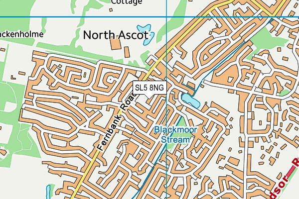 SL5 8NG map - OS VectorMap District (Ordnance Survey)