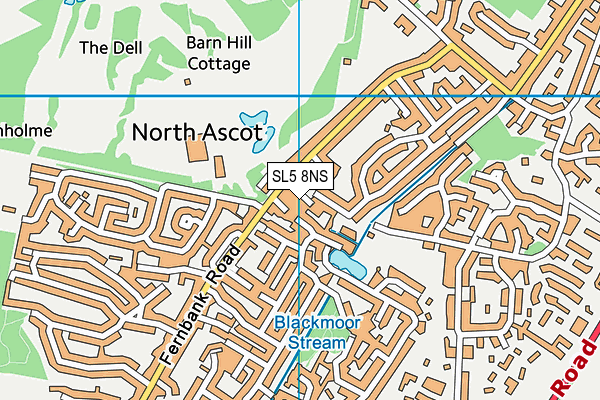 SL5 8NS map - OS VectorMap District (Ordnance Survey)