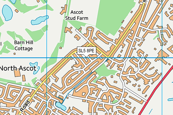 SL5 8PE map - OS VectorMap District (Ordnance Survey)