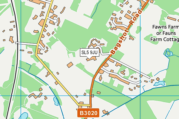 SL5 9JU map - OS VectorMap District (Ordnance Survey)