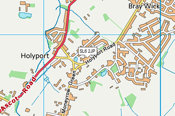 SL6 2JP map - OS VectorMap District (Ordnance Survey)