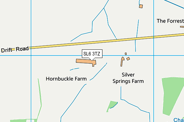 SL6 3TZ map - OS VectorMap District (Ordnance Survey)