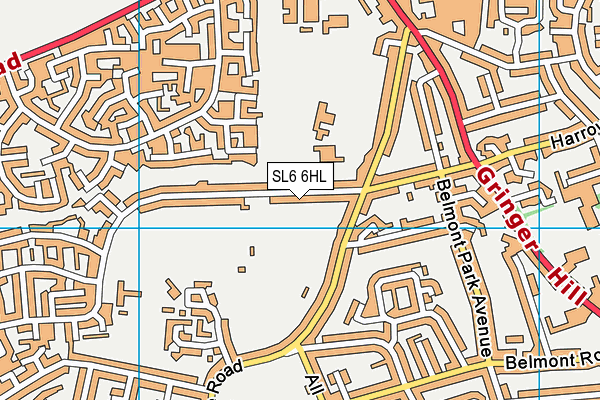 SL6 6HL map - OS VectorMap District (Ordnance Survey)