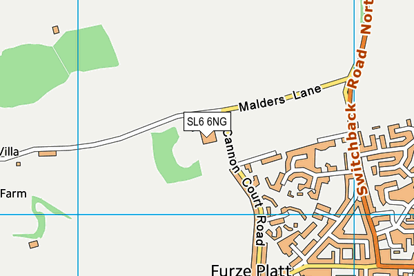 SL6 6NG map - OS VectorMap District (Ordnance Survey)
