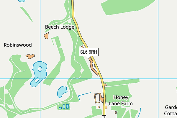 SL6 6RH map - OS VectorMap District (Ordnance Survey)