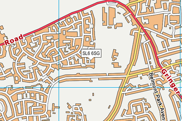 SL6 6SG map - OS VectorMap District (Ordnance Survey)