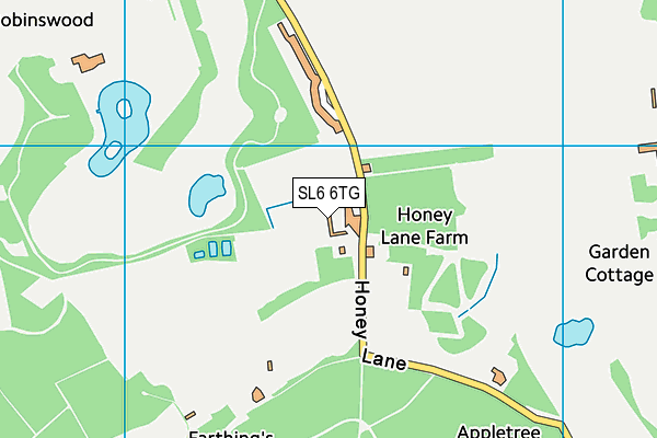 SL6 6TG map - OS VectorMap District (Ordnance Survey)