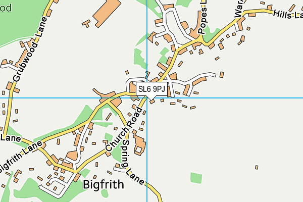SL6 9PJ map - OS VectorMap District (Ordnance Survey)