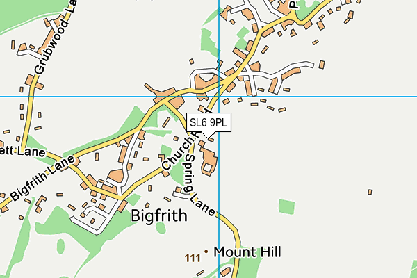 SL6 9PL map - OS VectorMap District (Ordnance Survey)