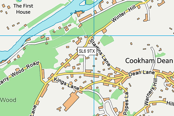 SL6 9TX map - OS VectorMap District (Ordnance Survey)
