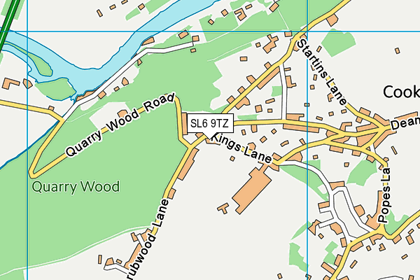 SL6 9TZ map - OS VectorMap District (Ordnance Survey)
