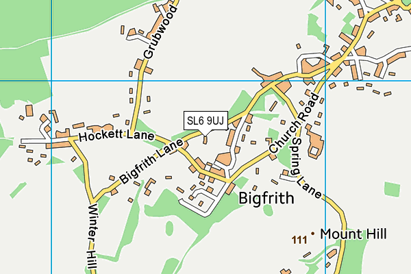 SL6 9UJ map - OS VectorMap District (Ordnance Survey)
