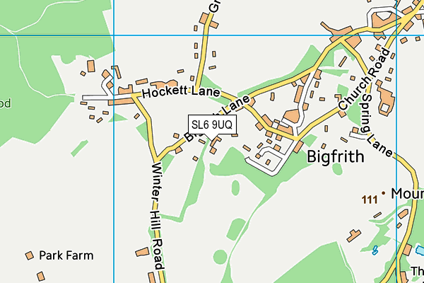 SL6 9UQ map - OS VectorMap District (Ordnance Survey)