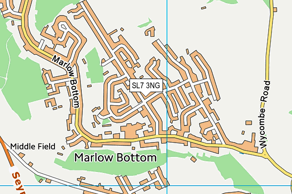 SL7 3NG map - OS VectorMap District (Ordnance Survey)