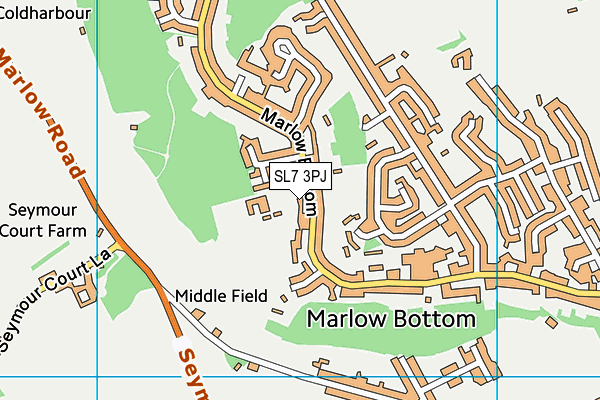 SL7 3PJ map - OS VectorMap District (Ordnance Survey)