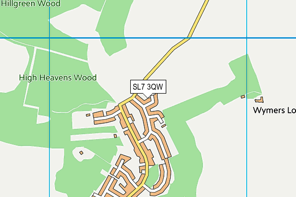 SL7 3QW map - OS VectorMap District (Ordnance Survey)