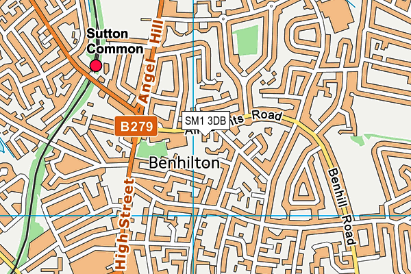 SM1 3DB map - OS VectorMap District (Ordnance Survey)