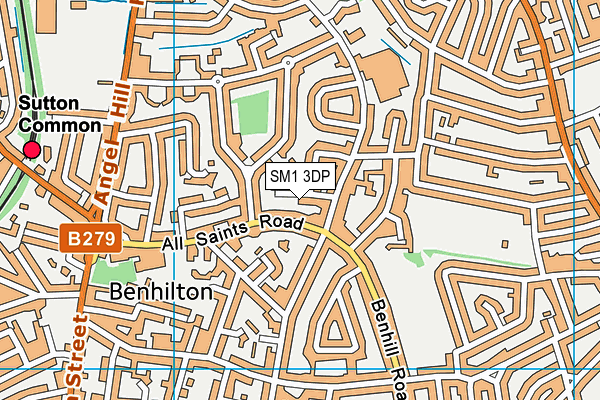 SM1 3DP map - OS VectorMap District (Ordnance Survey)