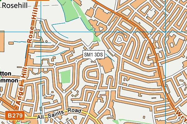 SM1 3DS map - OS VectorMap District (Ordnance Survey)