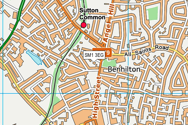 SM1 3EG map - OS VectorMap District (Ordnance Survey)