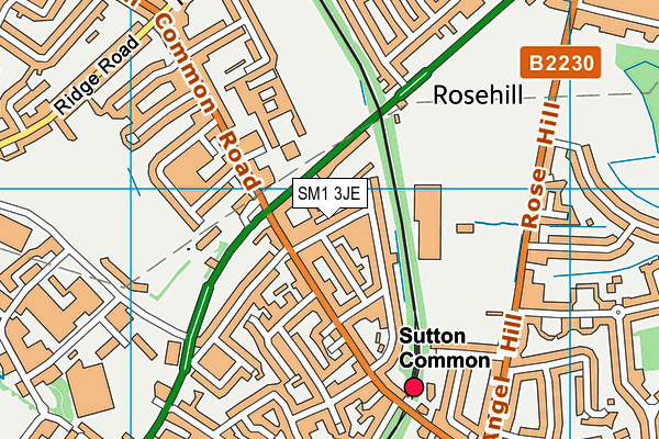 SM1 3JE map - OS VectorMap District (Ordnance Survey)