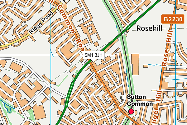 SM1 3JH map - OS VectorMap District (Ordnance Survey)