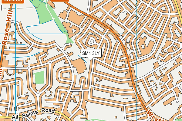 SM1 3LY map - OS VectorMap District (Ordnance Survey)