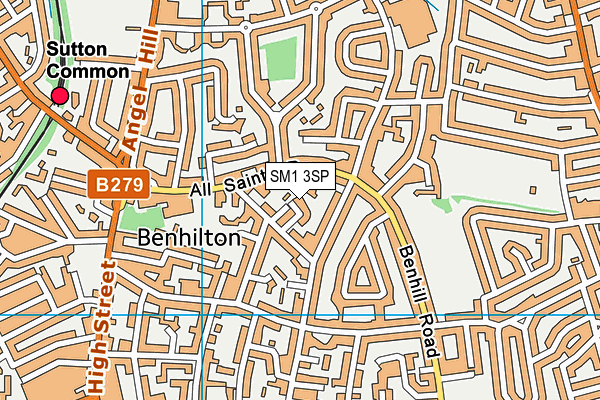 SM1 3SP map - OS VectorMap District (Ordnance Survey)