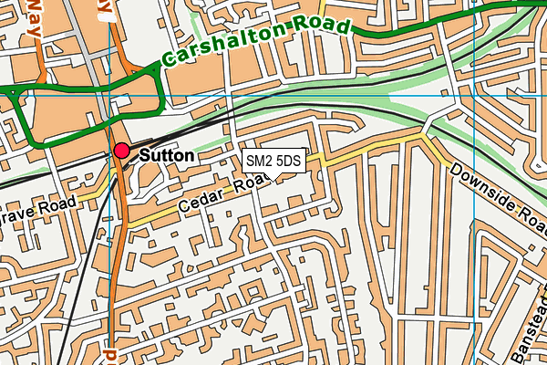 SM2 5DS map - OS VectorMap District (Ordnance Survey)