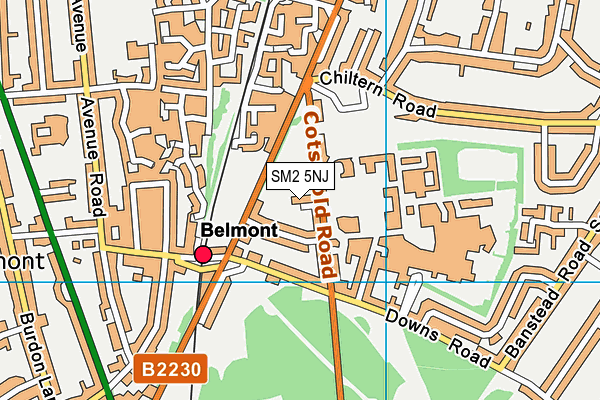 SM2 5NJ map - OS VectorMap District (Ordnance Survey)